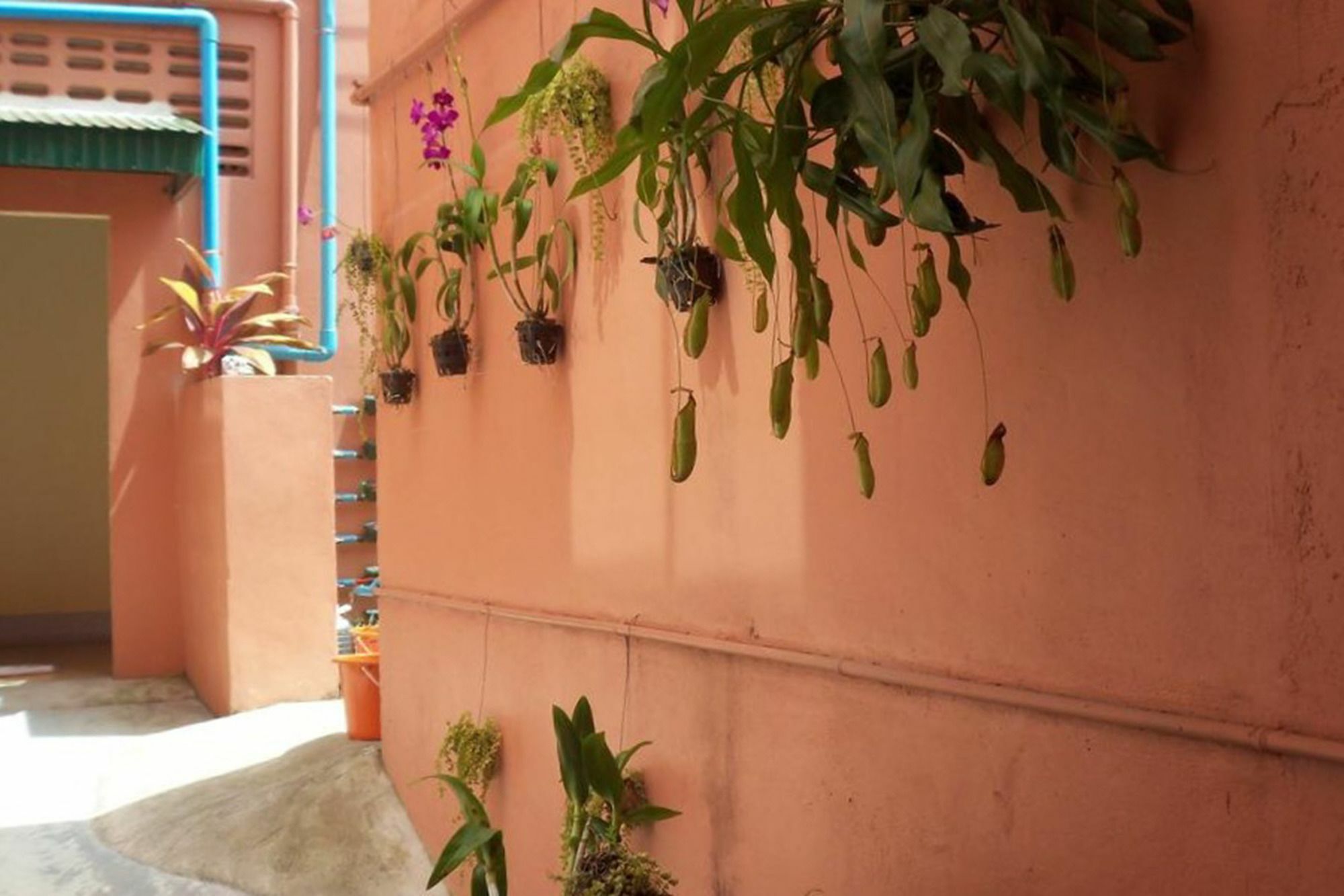 D'S Corner & Guesthouse Phuket Exterior foto